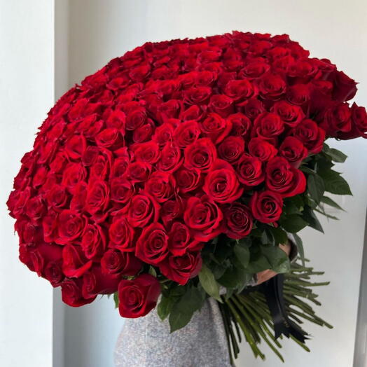 Roses red 155 stems bouquet