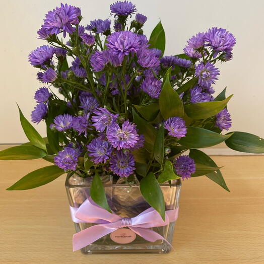 Aster with Italian Ruscus in Gift Vase