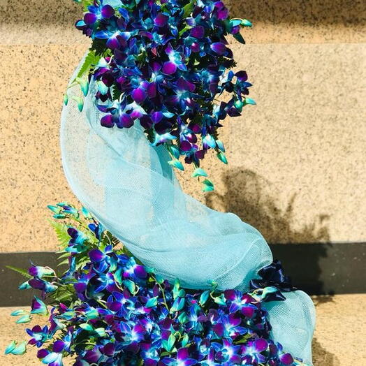 Blue Blooms :40 Stems of Blue Orchids In A Basket Arrangement