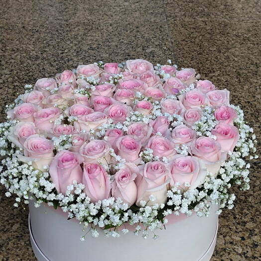 Blushing Pink Rose Box:50 pink roses with fillers in pink round box