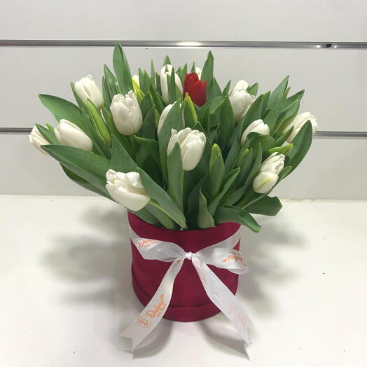 White Tulips in Box