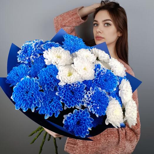 Ramo de crisantemo azul