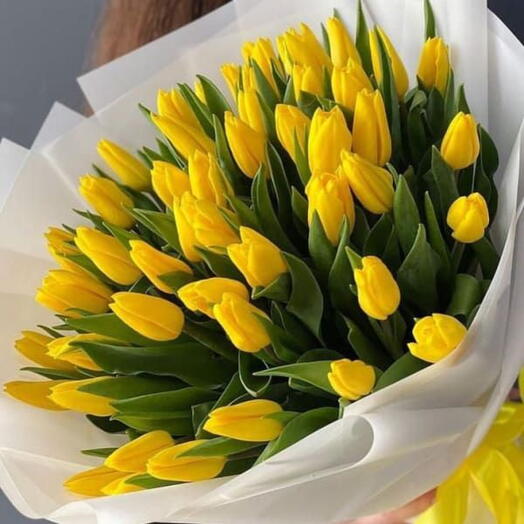 51 Yellow Tulips