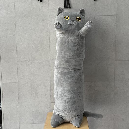 Кот батон серый