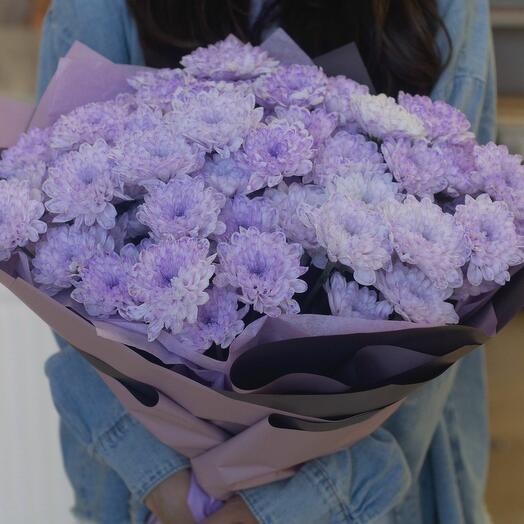 Кустовые хризантемы фиолетовые