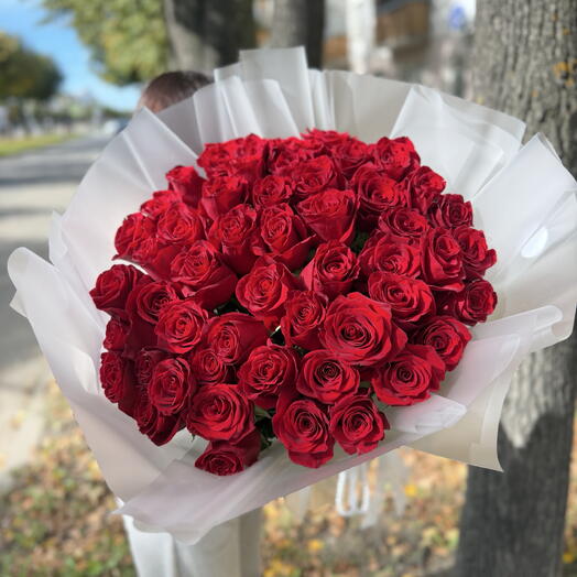 PION