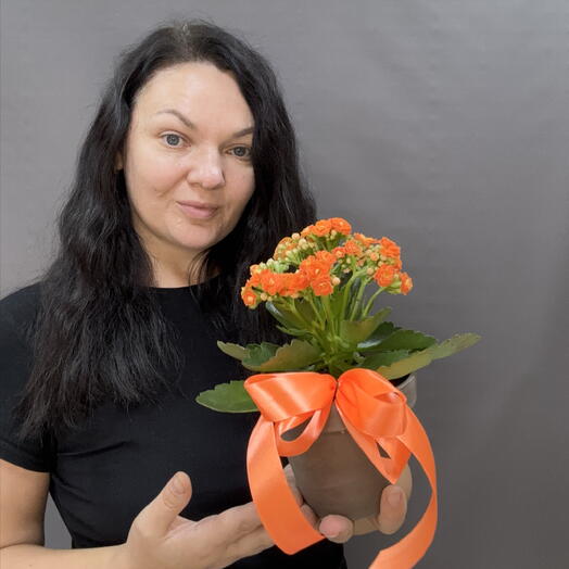 Lucky Flowers 