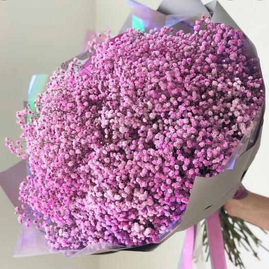 Pink Gypsophila