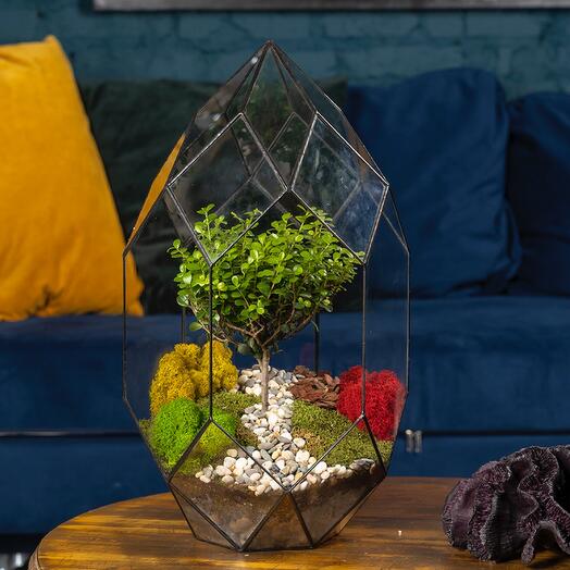 Bonsai, Florarium