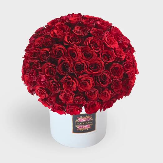 FL006 101 Roses of Love