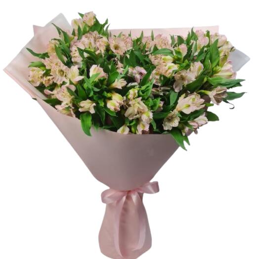 Alstromeria Bouquet