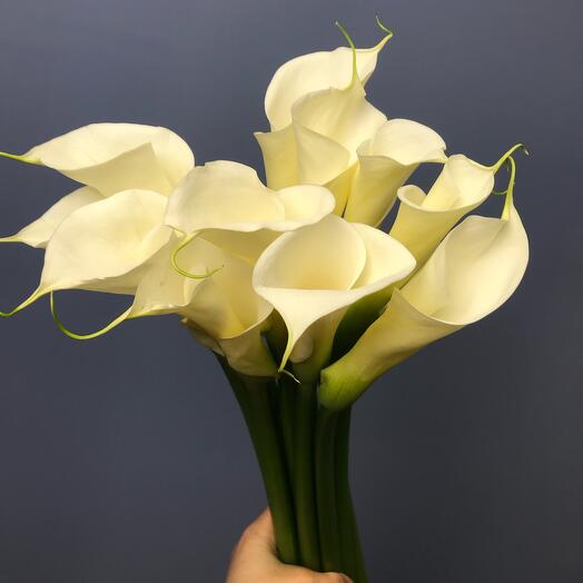 Calla lilies are white