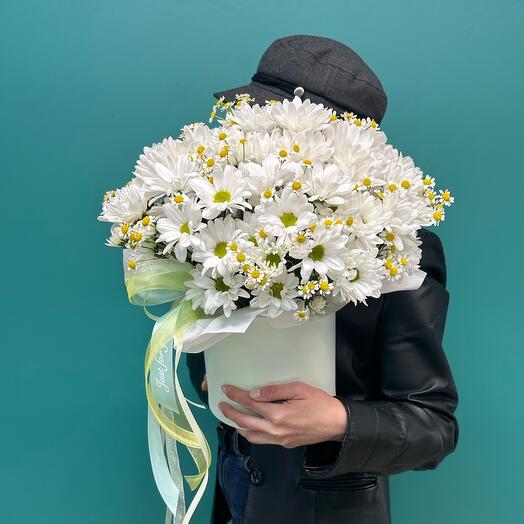 Ромашковое поле 🌸
