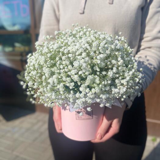 Нежная гипсофила в розовой шляпной коробке