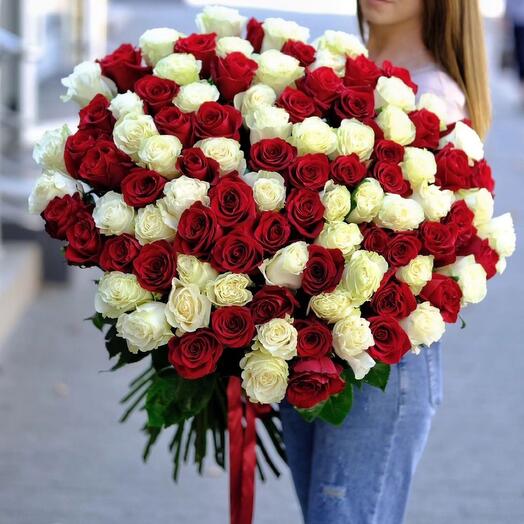 101 White and Red Rose