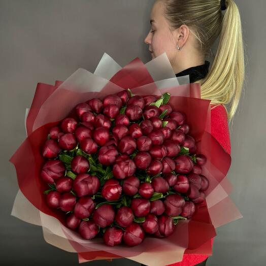 Бордовые пионы 51 штука Голландия