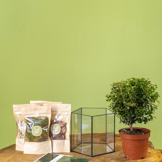 Geo Green