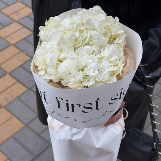 My - cvety