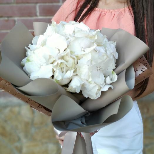 Hortensia de aire (diferentes colores)