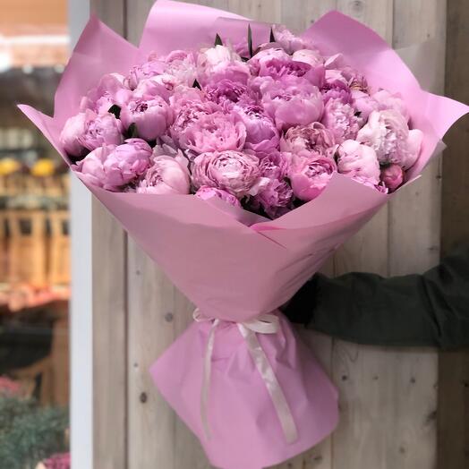 Monobucket of 51 peonies