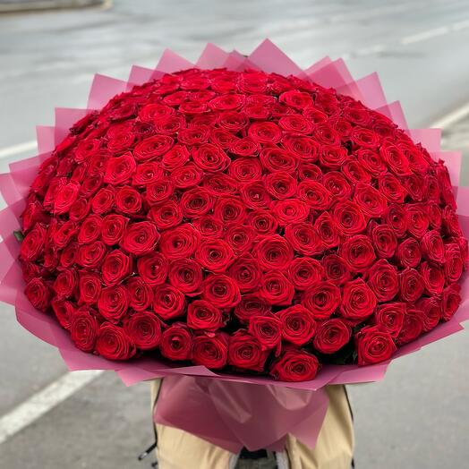 Ramo de rosas rojas 🌹
