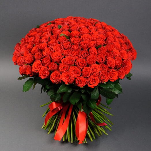 151 Red Roses