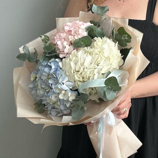ФлораБелла
