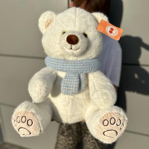 CVETOMAG 