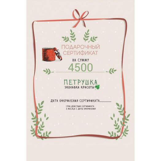 Подарочный сертификат 4500