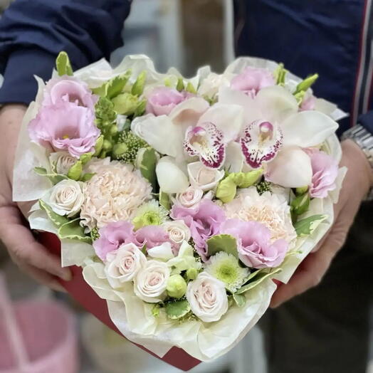 Iris Blumen