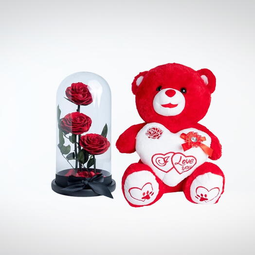Red Infinity Roses And Teddybear