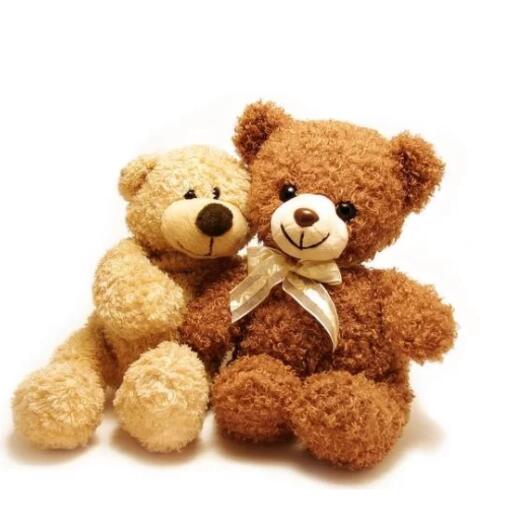 Small Teddy Bears