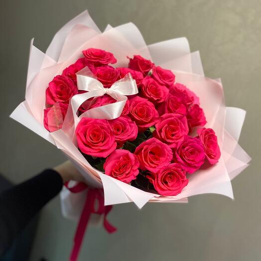 Rosa Rosa
