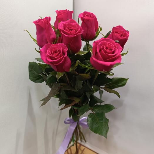 Букет ярко розовые, цикламеновые розы 7 шт. Эквадор, букет ярко розовых, цикламеновых роз премиум, сорта Gotcha