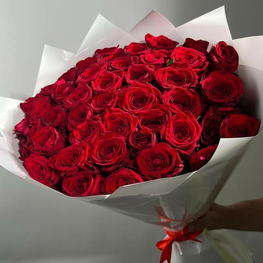 Red Roses 51pcs 70cm Rednayomi