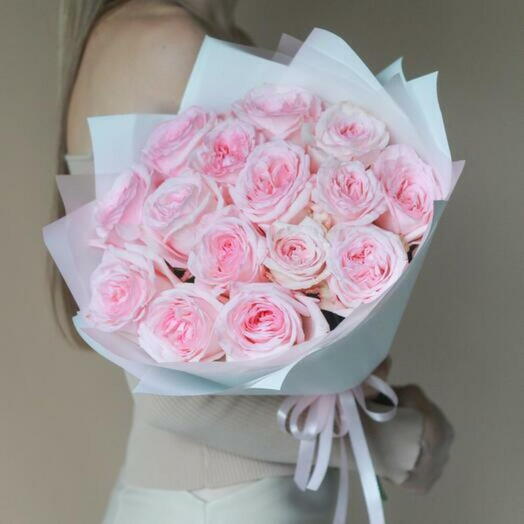 Blush Elegance: 15 Pink Ohara Roses