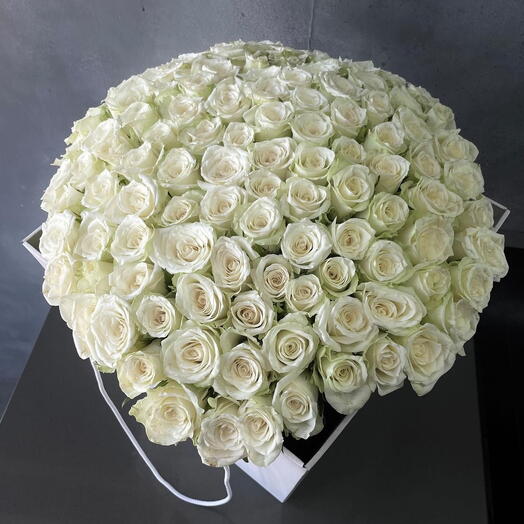 White roses 51