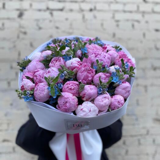 Пион 35шт