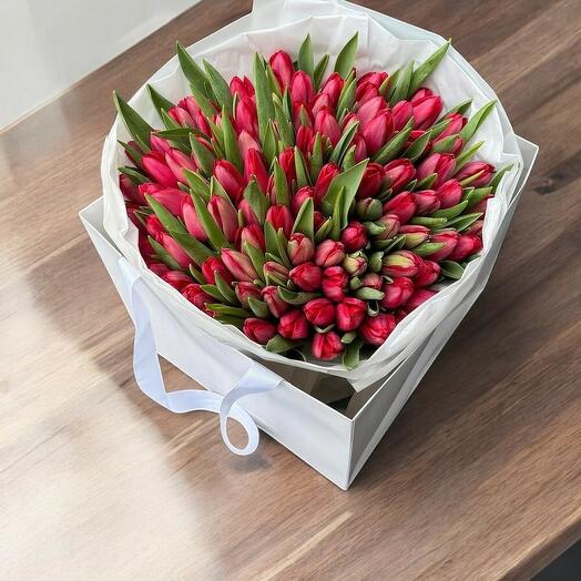 Mayfair 101 tulips