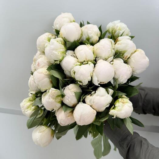 30 White Peony Bundle