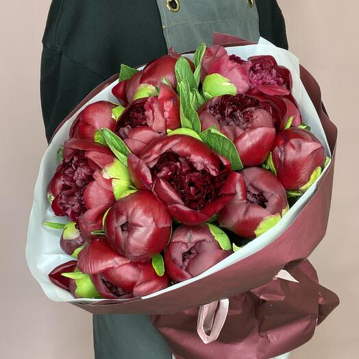 Бордовые пионы