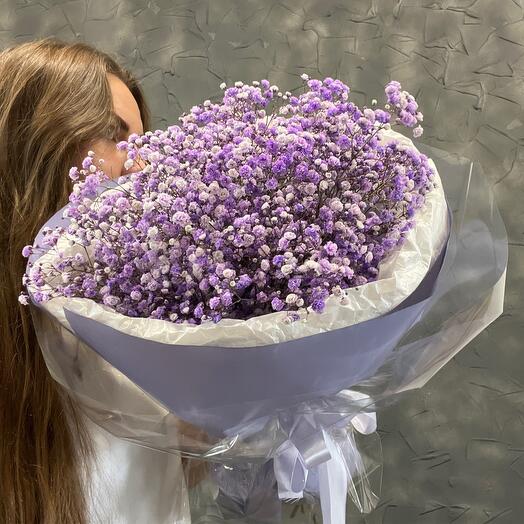 Букет из фиолетовых гипсофил