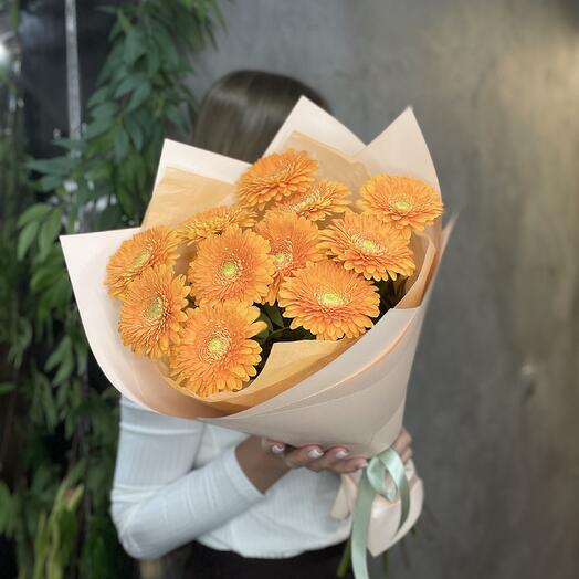 ПОЛЛЕ