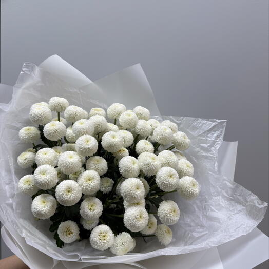 Лан