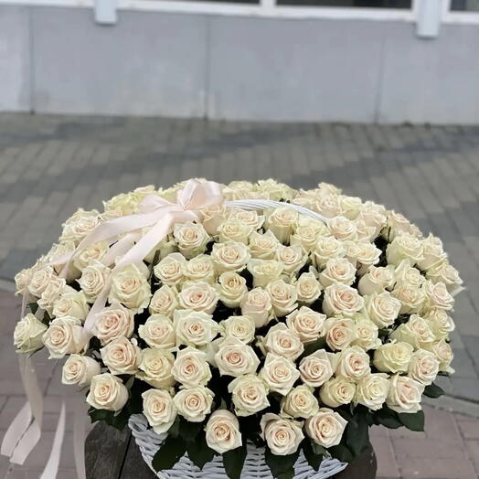 Miasskiy tyulpan Mashgorodok
