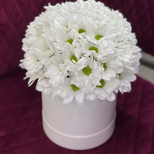 Composition of chrysanthemums in a hatbox