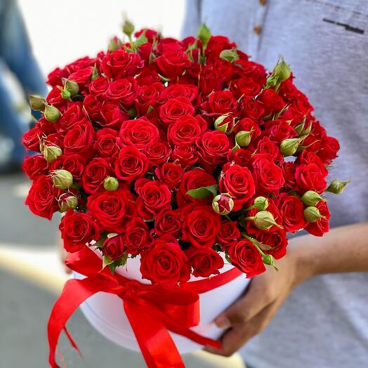Rosa de arbusto en una Caja