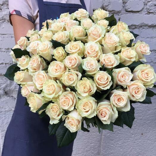 51 роза сорта "Талея" 60см