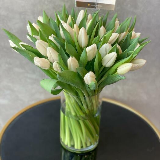 White Tulips in glass Vase