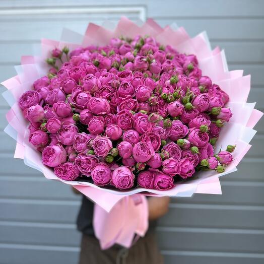 Rosas arbustivas 35 ramas